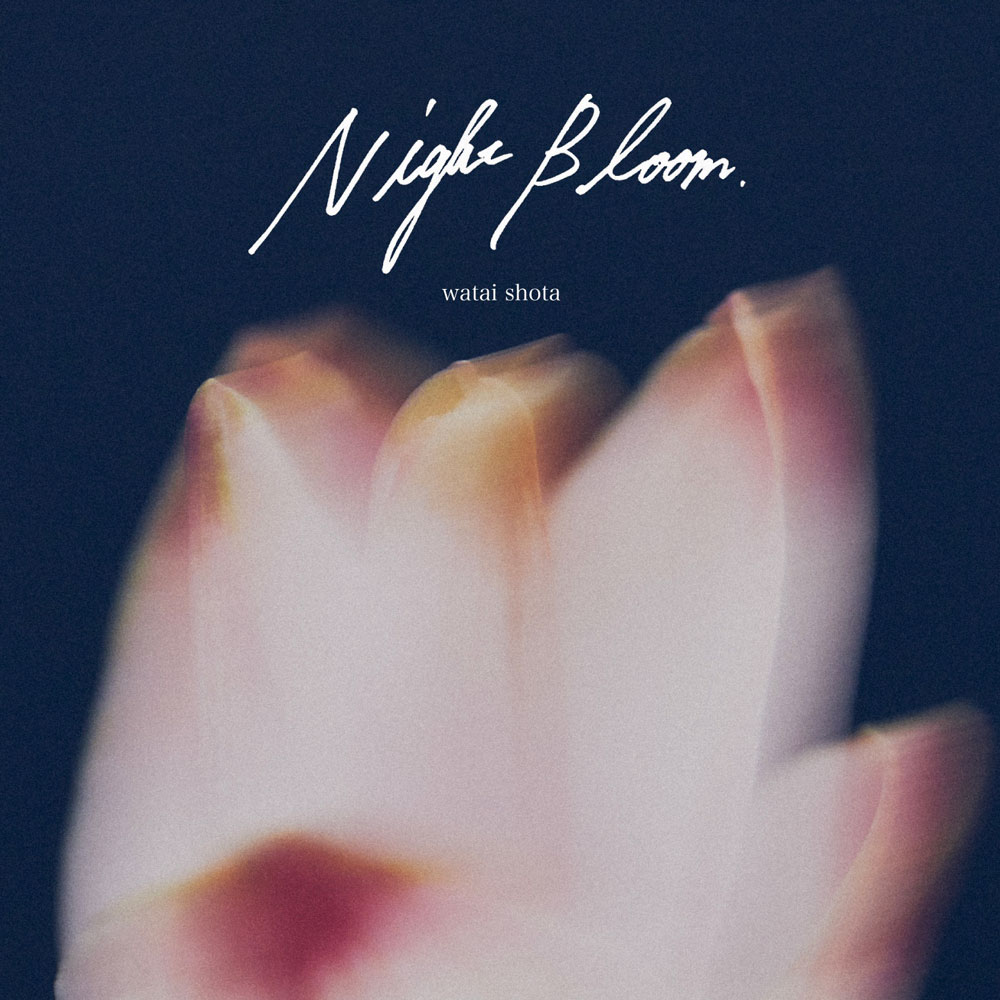 Night Bloom
